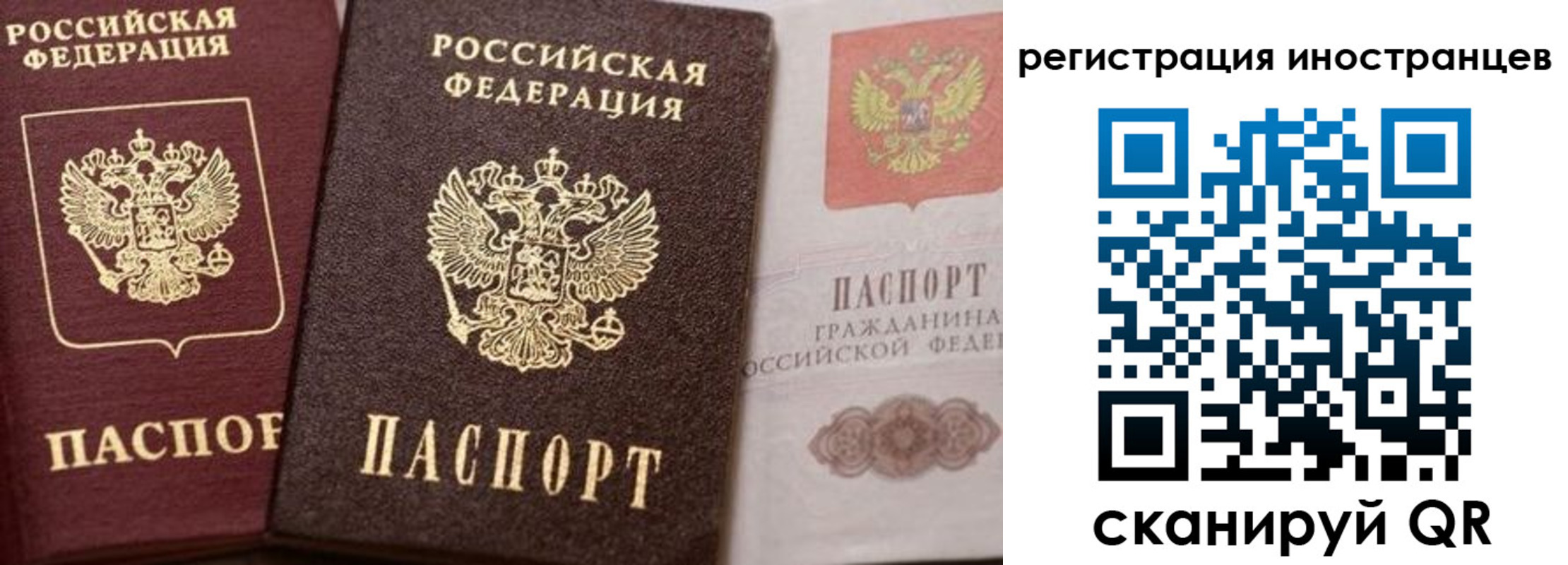 временная регистрация купить в Россоши